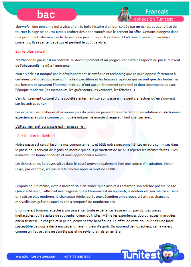 Description visuelle de mission bac  1