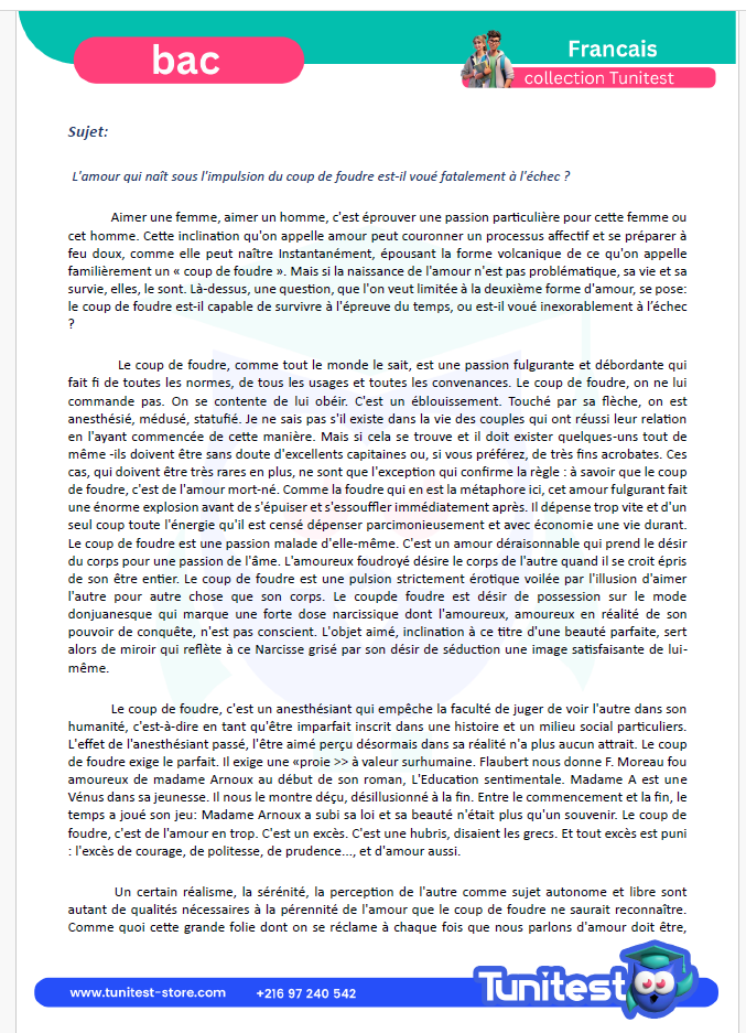 Description visuelle de mission bac  3