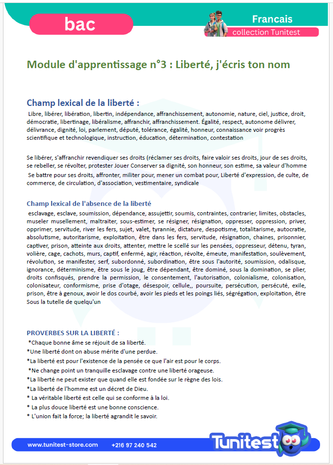 Description visuelle de mission bac  4